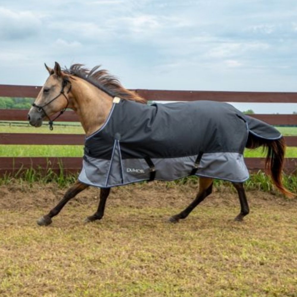 Size 78 horse blanket and sheet bundle